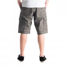 pánské šortky Meatfly Icon Shorts 21/22