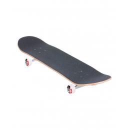 skateboard Element 2022