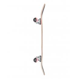 skateboard Element 2022