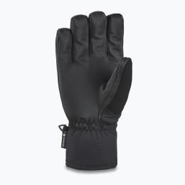pánské rukavice na lyže/snowboard Dakine Titan Gore-Tex Short Glove 2022