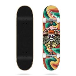 skateboard komplet Tricks 2023 Mushroom 8,0