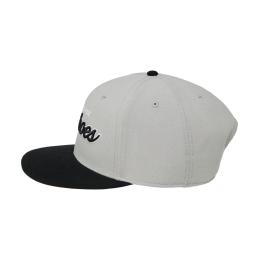 Kšiltovka DC Tailgate Snapback 2025