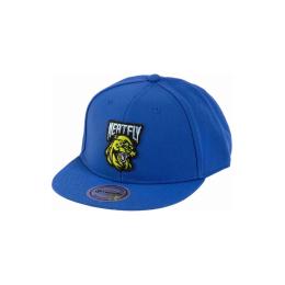Kšiltovka Meatfly Alfy Snapback 2025 Blue Panther